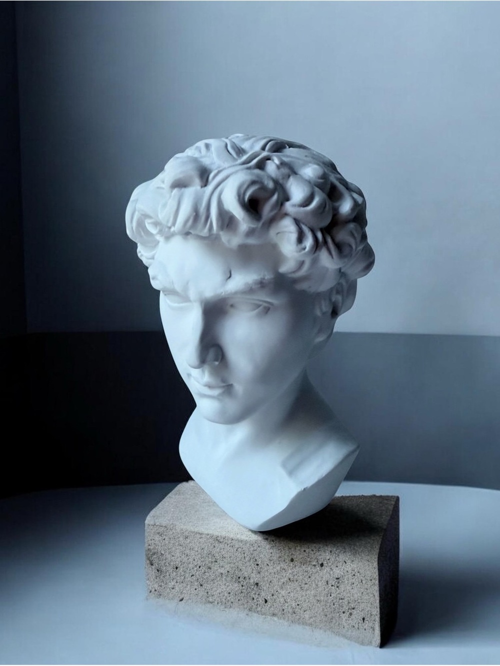 David Classical Marble David head Bust Sculpture